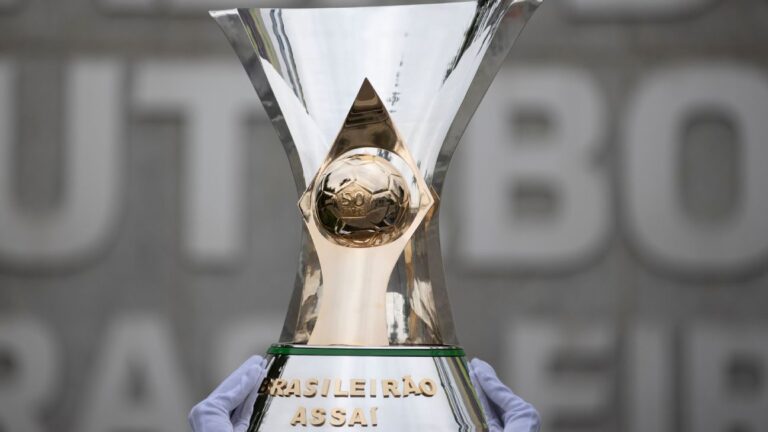 Saiba quais clubes acumulam o maior número de títulos no Campeonato Brasileiro e como eles conquistaram seu espaço no topo.